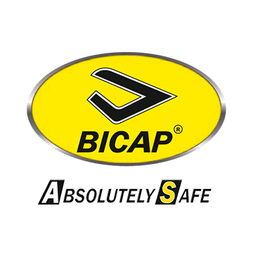 logo bicap